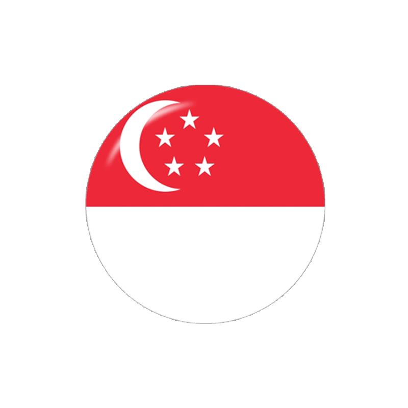 Asia Flag China Thailand Singa - Jewelry Making Singapore review and price